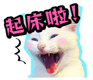 835464540