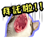 835464544