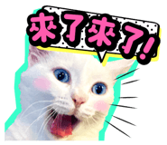 835464546