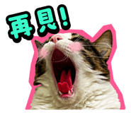 835464550