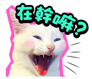 835464555
