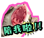 835464558