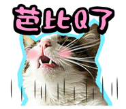 835464559