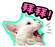 835464561