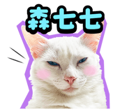 835464562
