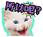 835464564