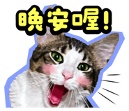 835464565