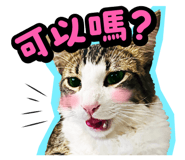 835464566
