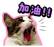 835464568
