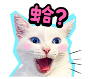 835464571