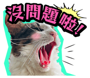 835464573