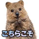 835466155