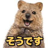 835466157