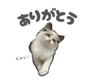 835467313