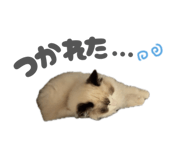 835467322