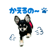 835467831