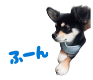 835467833