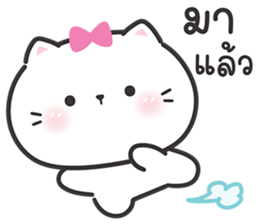 ลายที่ 8