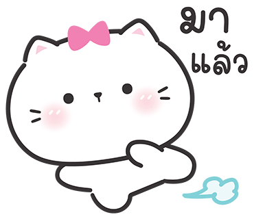 ลายที่ 8
