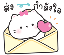 ลายที่ 13