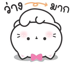 ลายที่ 19