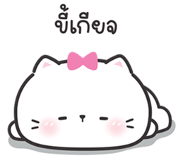 ลายที่ 23