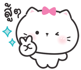 ลายที่ 24