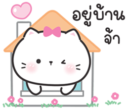 ลายที่ 25