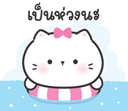 ลายที่ 28