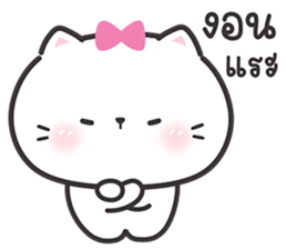 ลายที่ 31