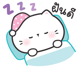 ลายที่ 40