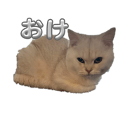 835477633