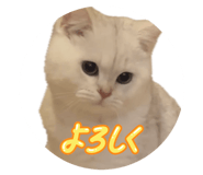 835477637