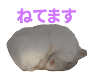 835477825