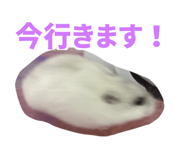 835477826