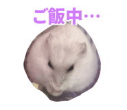 835477827