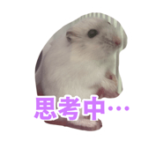 835477832