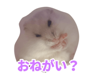 835477833