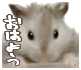 835478841