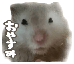 835478842