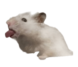 835478852