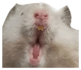 835478853