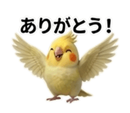 835499922