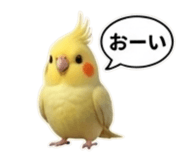 835499935