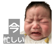 835506454