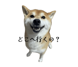 835507900