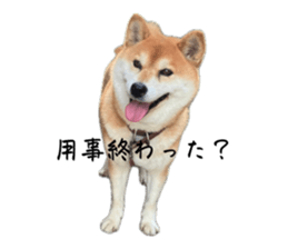 835507904