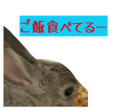 835508068