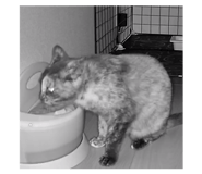 835508324