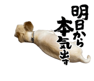 835508329